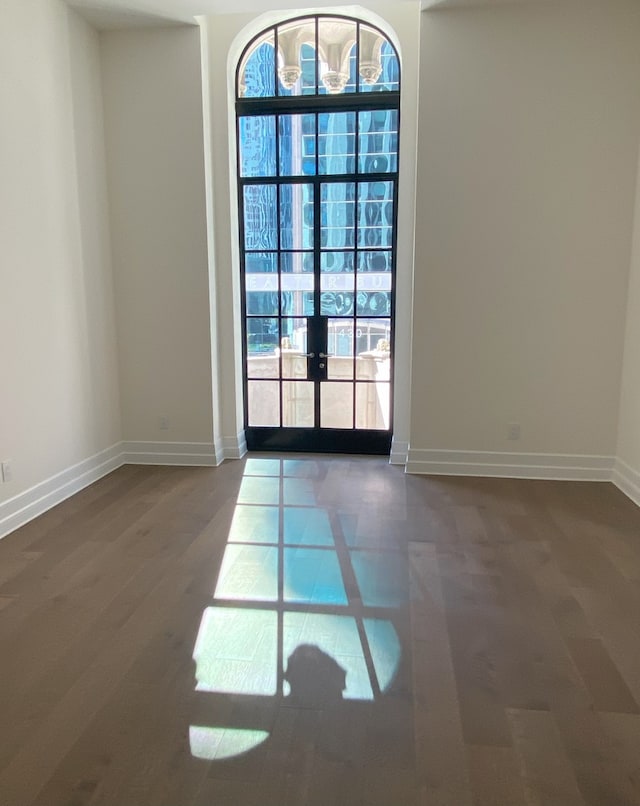 spare room with french doors, a healthy amount of sunlight, and dark hardwood / wood-style flooring