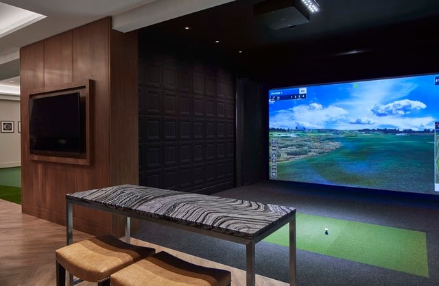 interior space featuring hardwood / wood-style floors and golf simulator