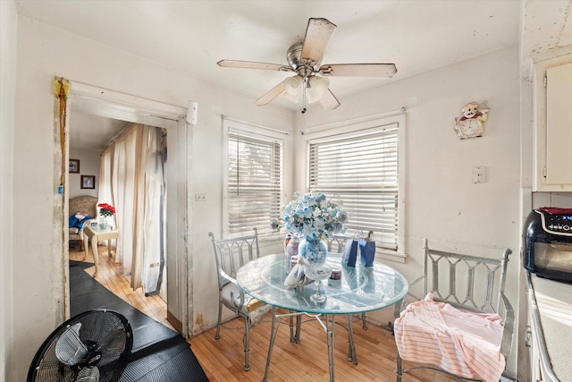 dining space featuring light wood-type flooring and ceiling fan