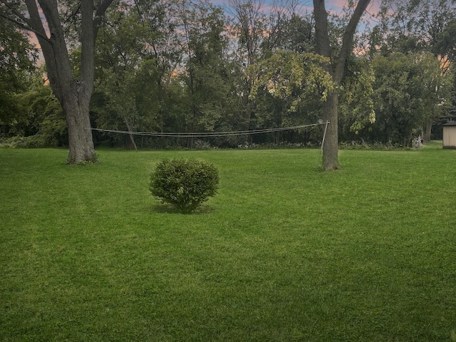2521 Seminary Ave, Des Plaines, IL 60016 - view of green lawn