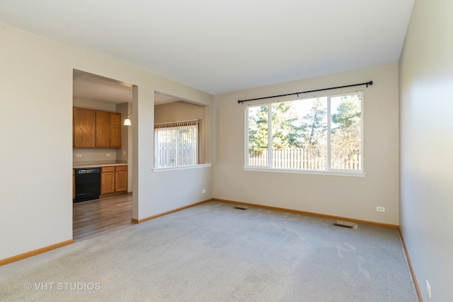 empty room featuring light carpet