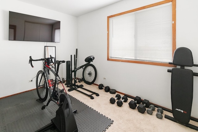 exercise area with carpet floors