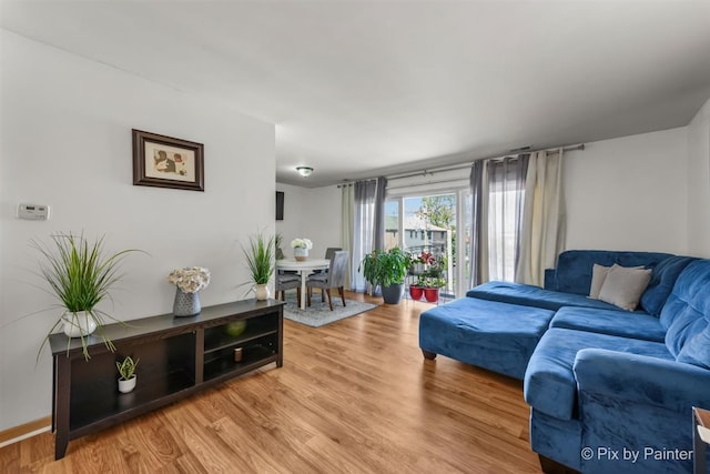 living room featuring hardwood / wood-style floors