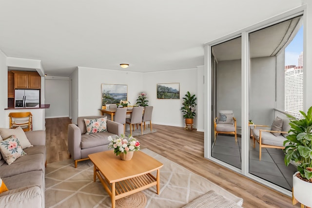 living room with light hardwood / wood-style floors