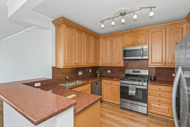 kitchen featuring kitchen peninsula, appliances with stainless steel finishes, light hardwood / wood-style flooring, and sink