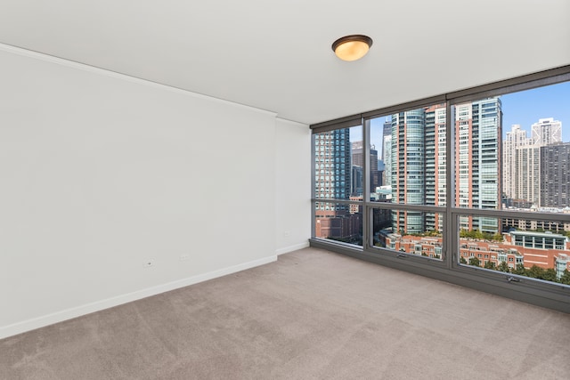 empty room featuring floor to ceiling windows, light colored carpet, and crown molding