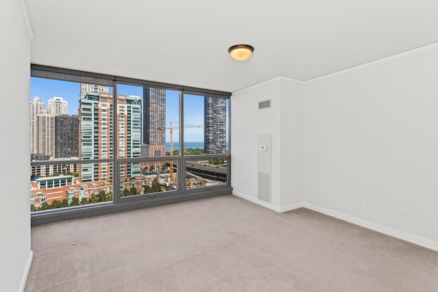 unfurnished room with carpet, a healthy amount of sunlight, floor to ceiling windows, and crown molding