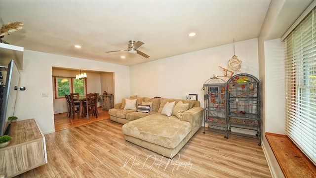 living room with ceiling fan with notable chandelier and wood-type flooring