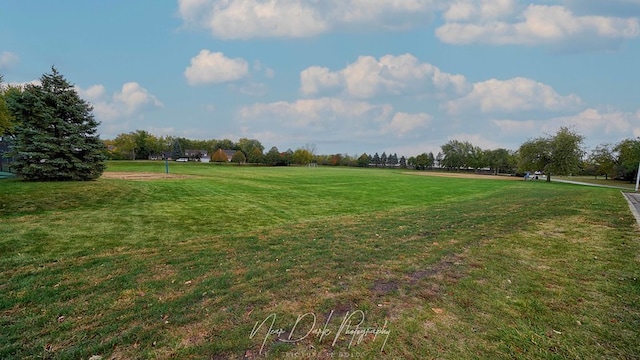 view of yard