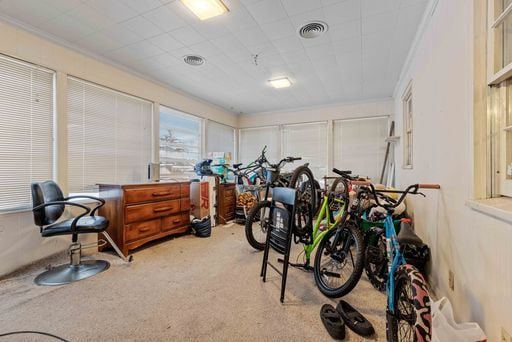 interior space featuring ornamental molding and carpet floors