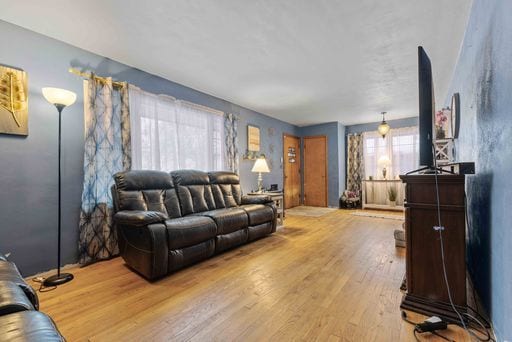 living room with light wood-type flooring