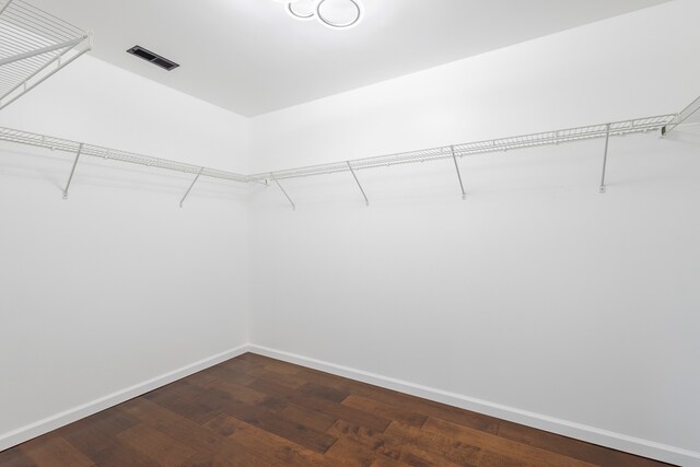 walk in closet with wood-type flooring