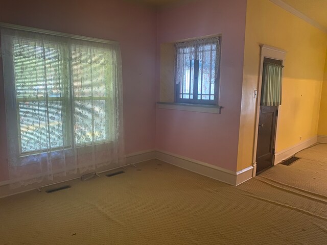 spare room featuring carpet floors and plenty of natural light