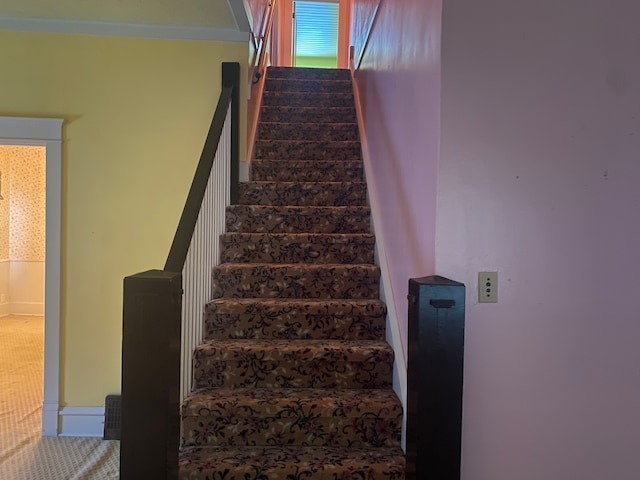 stairs with carpet floors