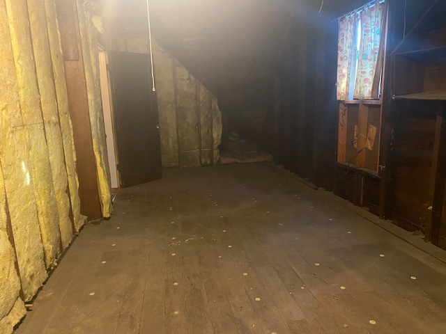 basement featuring hardwood / wood-style flooring