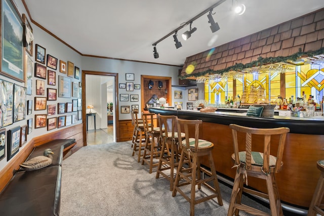 27 Hickory Ln, White Heath, IL 61884 - indoor dry bar featuring crown molding