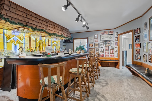 27 Hickory Ln, White Heath, IL 61884 - indoor wet bar with light colored carpet, crown molding, and rail lighting