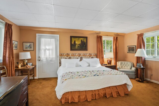 27 Hickory Ln, White Heath, IL 61884 - carpeted bedroom with multiple windows and a drop ceiling