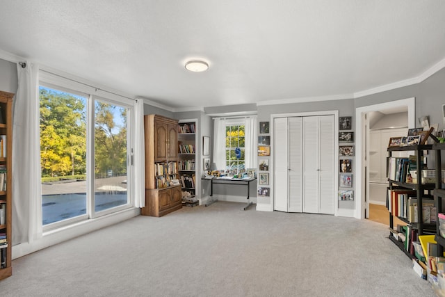 27 Hickory Ln, White Heath, IL 61884 - living area with carpet and crown molding