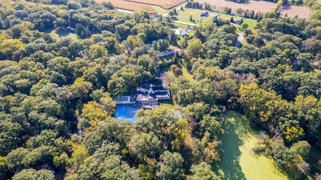27 Hickory Ln, White Heath, IL 61884 - aerial view of a heavily wooded area