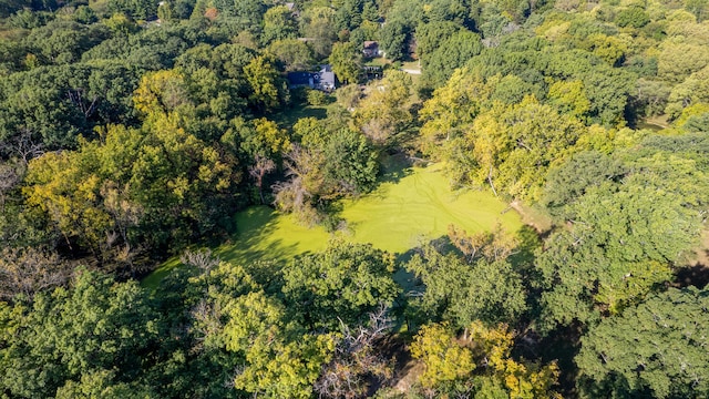 27 Hickory Ln, White Heath, IL 61884 - aerial overview of property's location with a forest