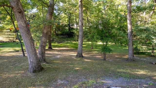 27 Hickory Ln, White Heath, IL 61884 - view of local wilderness