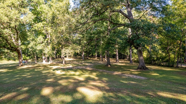27 Hickory Ln, White Heath, IL 61884 - view of green lawn