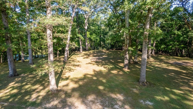 27 Hickory Ln, White Heath, IL 61884 - view of grassy yard