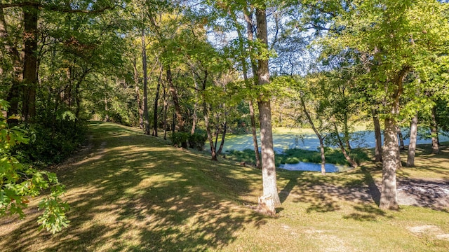 27 Hickory Ln, White Heath, IL 61884 - view of grassy yard featuring a water view