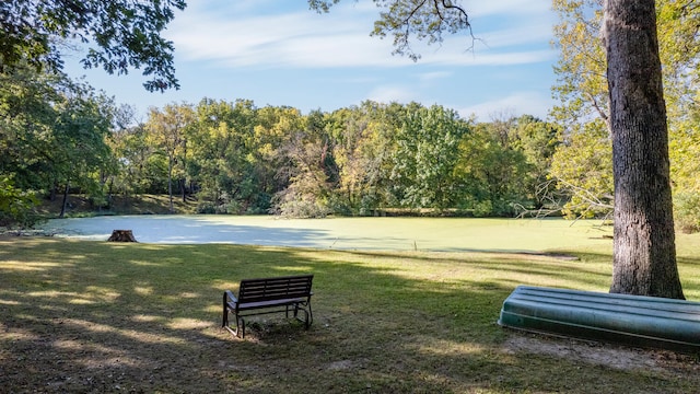 27 Hickory Ln, White Heath, IL 61884 - view of community with a lawn