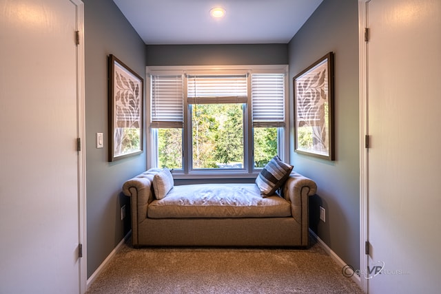 living area with light colored carpet