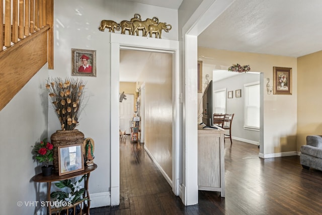 hall featuring dark wood-type flooring