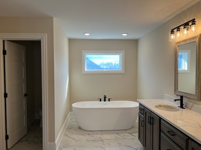 bathroom featuring vanity, a bathing tub, and toilet