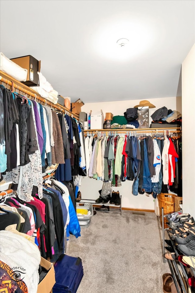 walk in closet with carpet floors