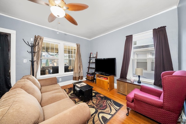 living room featuring wood-type flooring, ceiling fan, and crown molding