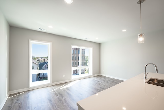 interior space featuring sink and dark hardwood / wood-style floors