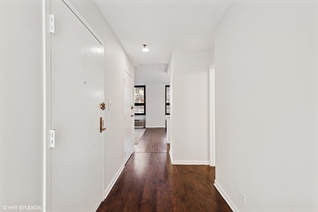 hallway featuring dark hardwood / wood-style flooring