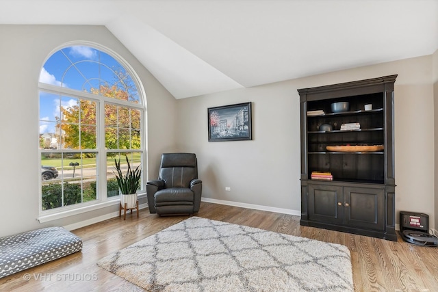 living area featuring wood-type flooring and lofted ceiling