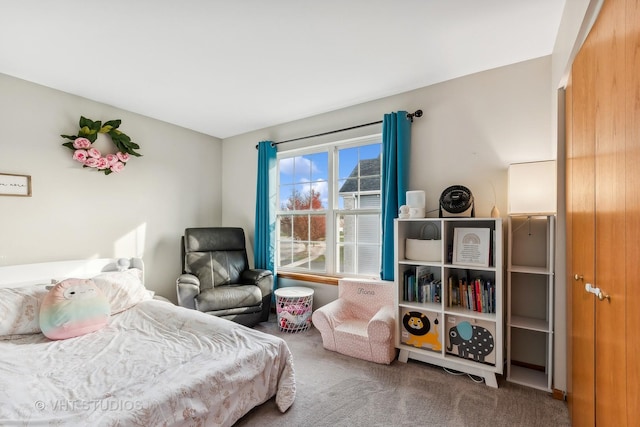 bedroom with carpet floors