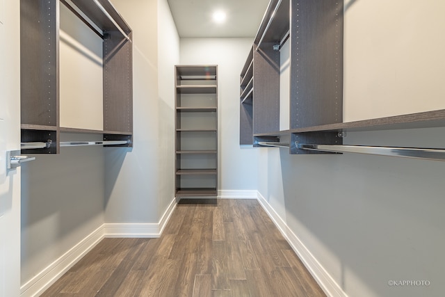 spacious closet featuring dark hardwood / wood-style flooring