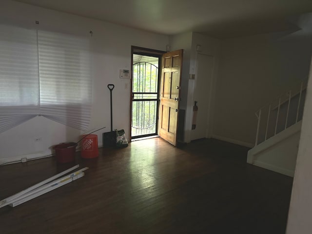 entrance foyer with dark wood-type flooring