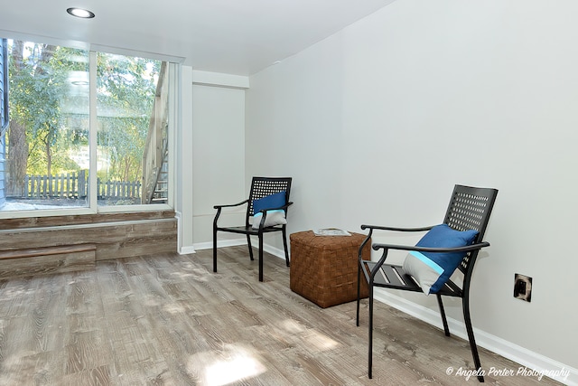 sitting room featuring light hardwood / wood-style floors and a healthy amount of sunlight