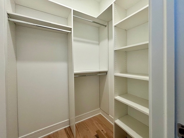 spacious closet with hardwood / wood-style floors