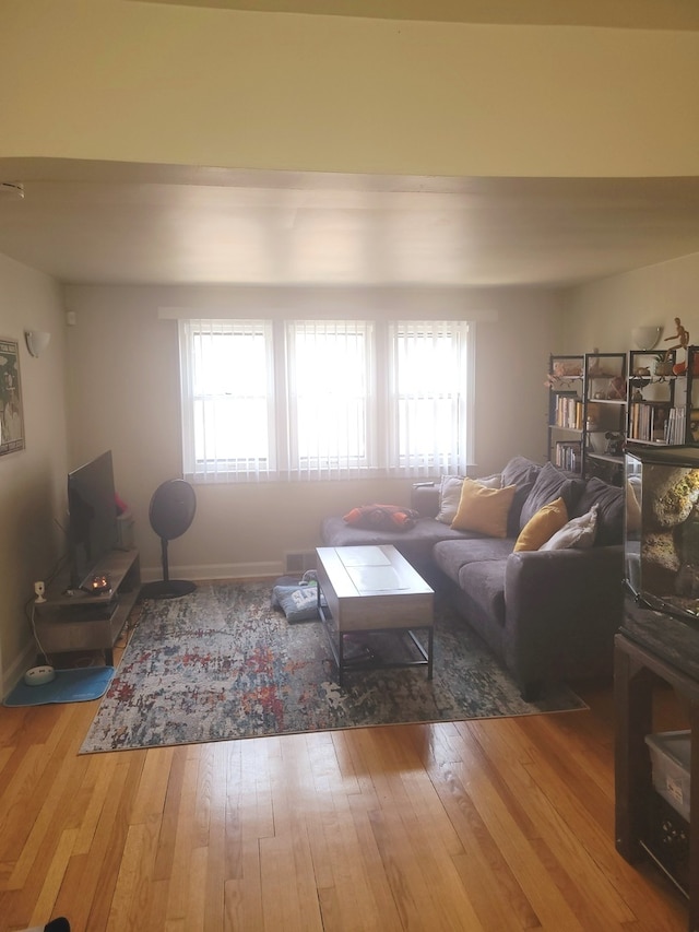 living room with hardwood / wood-style floors