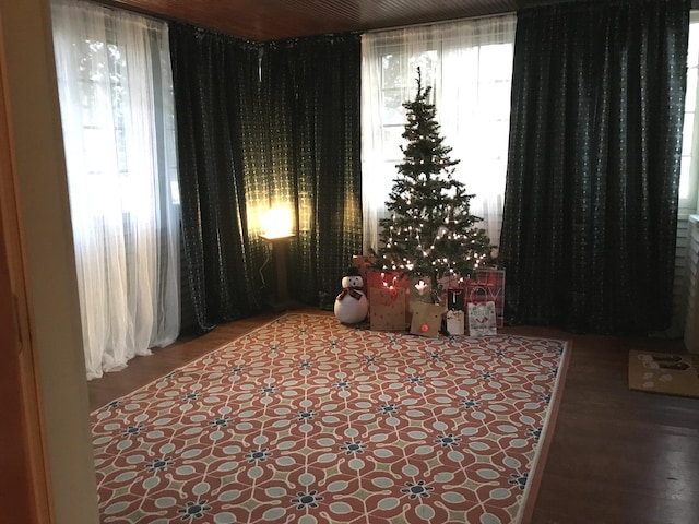 bedroom with hardwood / wood-style flooring