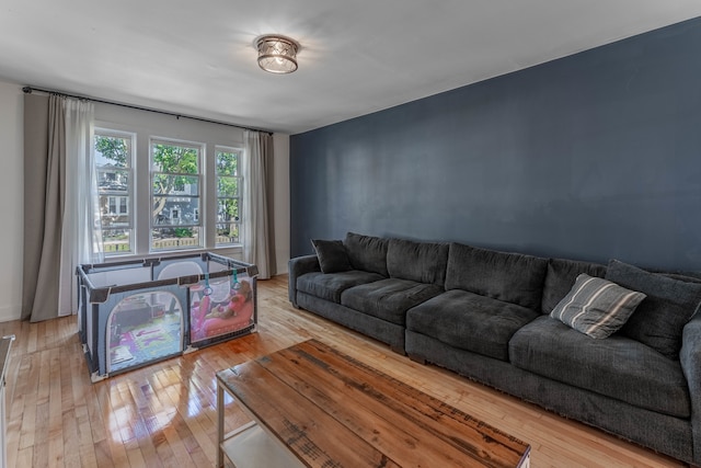 living room featuring light wood-type flooring