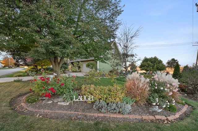 5995 W Clare Rd, Clare, IL 60111 - view of green lawn