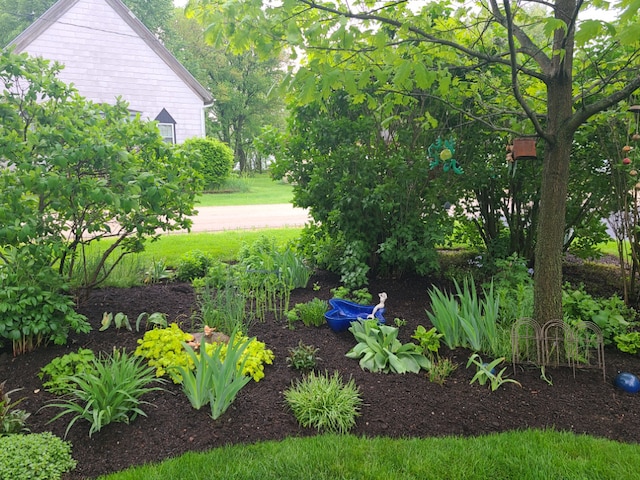 5995 W Clare Rd, Clare, IL 60111 - view of yard