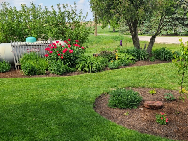 5995 W Clare Rd, Clare, IL 60111 - view of yard