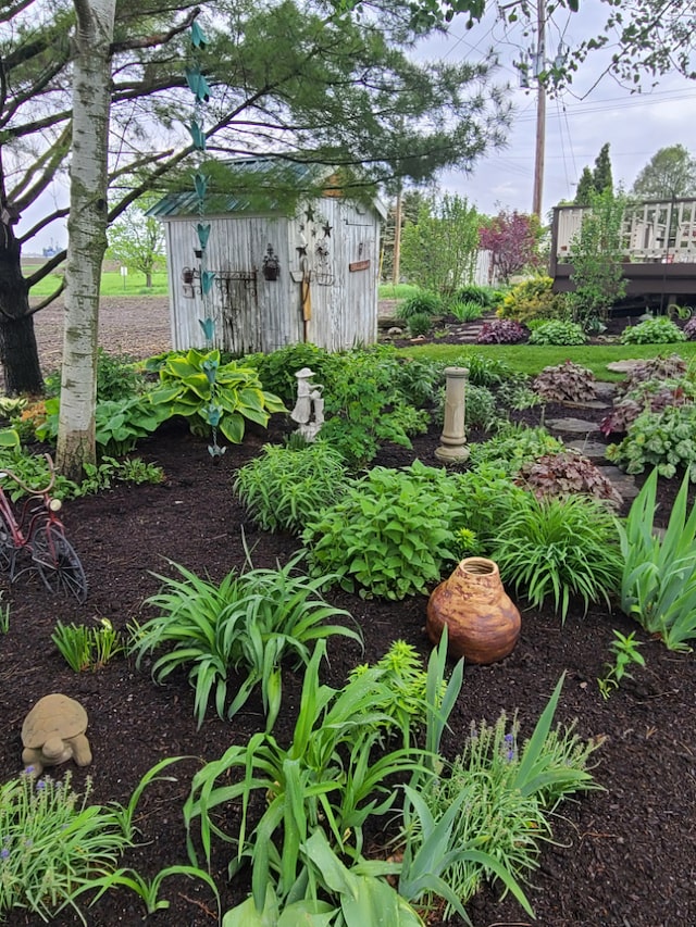 view of yard featuring a storage unit